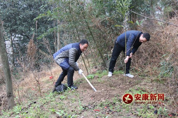 311޿hֱCP(gun)300˅x(w)ֲӣ(dng)ֲ˘1400ԓhӋG6.2fд