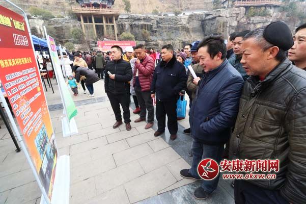 22܊ڍ޿h͘I(y)(chung)I(y)“L(fng)Є”ƸF(xin)ҺmĹλ z.jpg