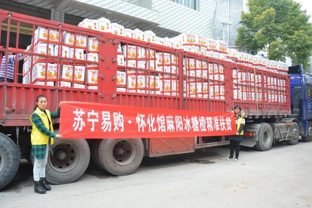 全渠道助銷農(nóng)產(chǎn)品超60億 蘇寧榮獲2018電商公益先鋒獎