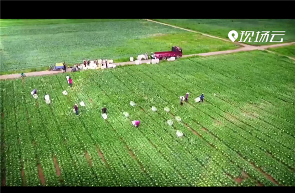 ȫÓؚ(jin)(yu)o(j)ƬչQ(zhn)Óؚڽ񳯡һ Ӳ^