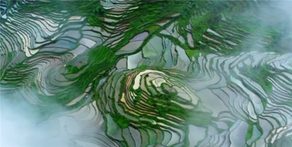 ȫÓؚ(jin)(yu)o(j)Ƭչo(j)ƬӢϦ弯