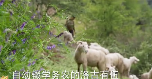 全國“脫貧攻堅(jiān)”優(yōu)秀紀(jì)錄片展播|紀(jì)錄片《攻堅(jiān)日記》:洛古有伍的心結(jié)5