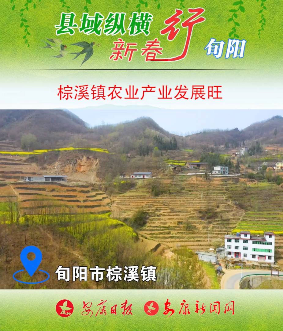 ѮϪ(zhn)rI(y)aI(y)ץ