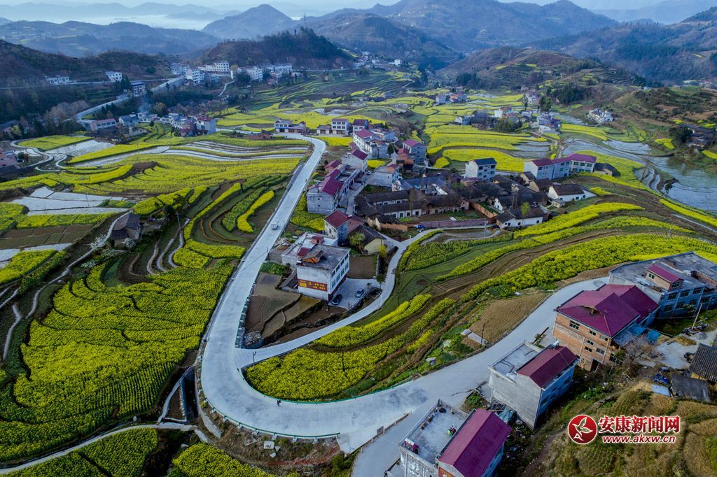 PߴɫzӰƤ¾SԒ(hu)h13325355508Ĕzʡhꎿhu(zhn)P߹ - .JPG