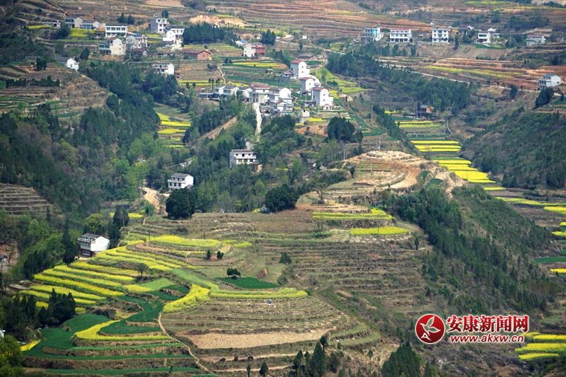 D2.̎(ni)ꑸ߁ɽɽɽص6Nεòc˷Ϣ@˂ò